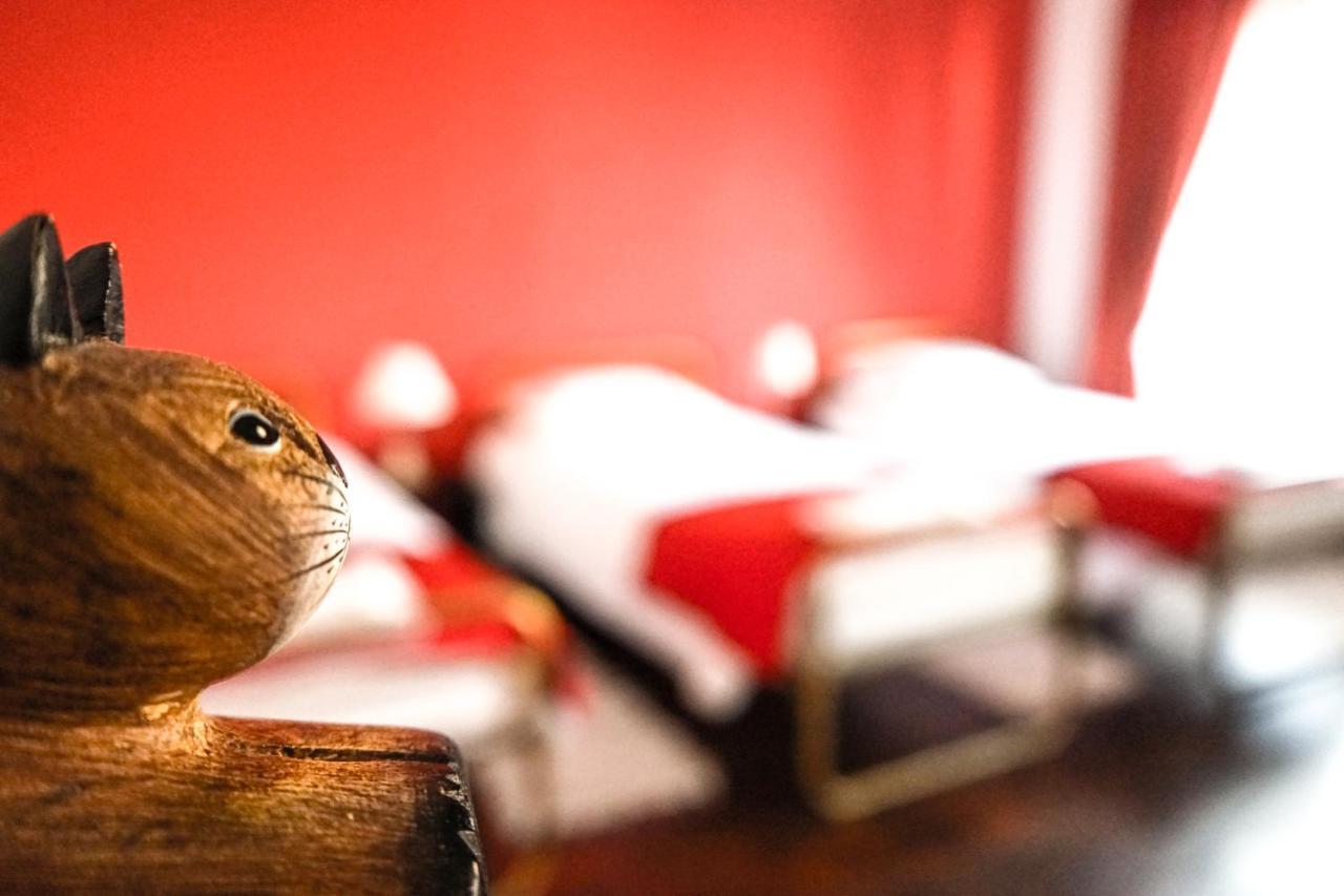 Azores Dream Hostel Ponta Delgada - Açores Quarto foto